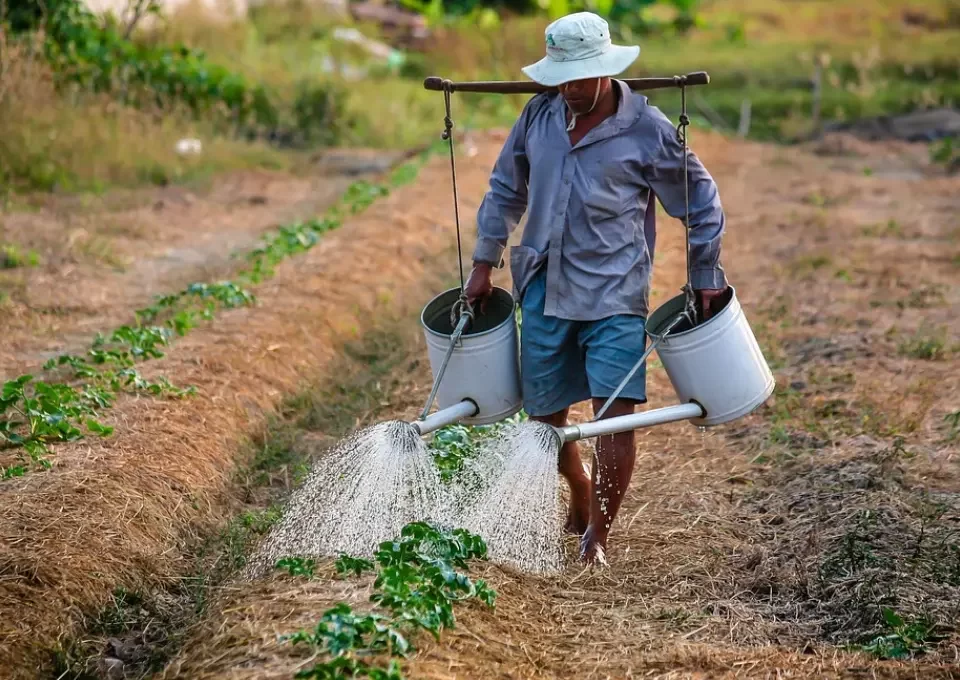 Aposentadoria Rural